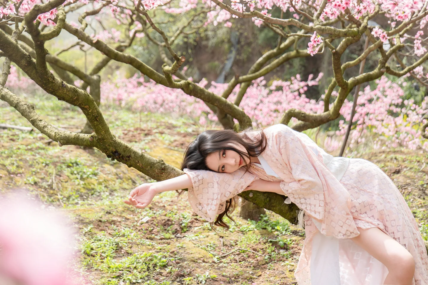 年年 - 漫花 [86P-595MB] tg@simisebaisi 【丝足阁】040.webp